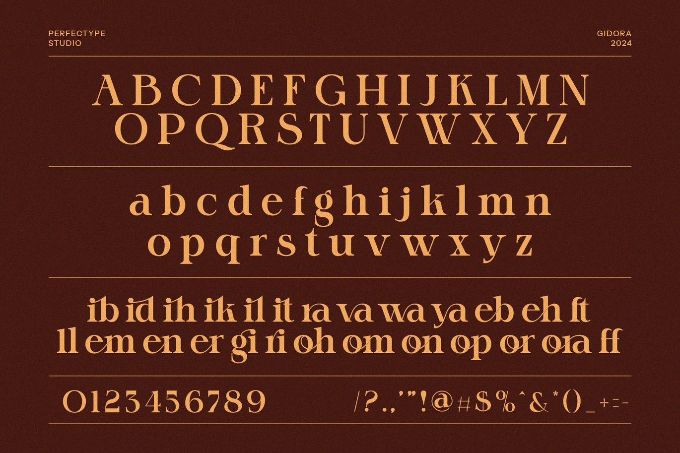 现代优雅杂志海报徽标设计衬线英文字体安装包 Gidora Elegant Serif Font , 第3张