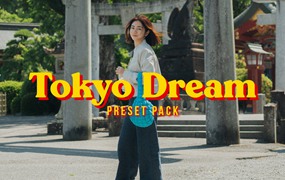 VG Studios Tokyo Dream Preset Pack 复古日系梦幻怀旧氛围电影胶片模拟颗粒色彩绽放Lightroom调色预设