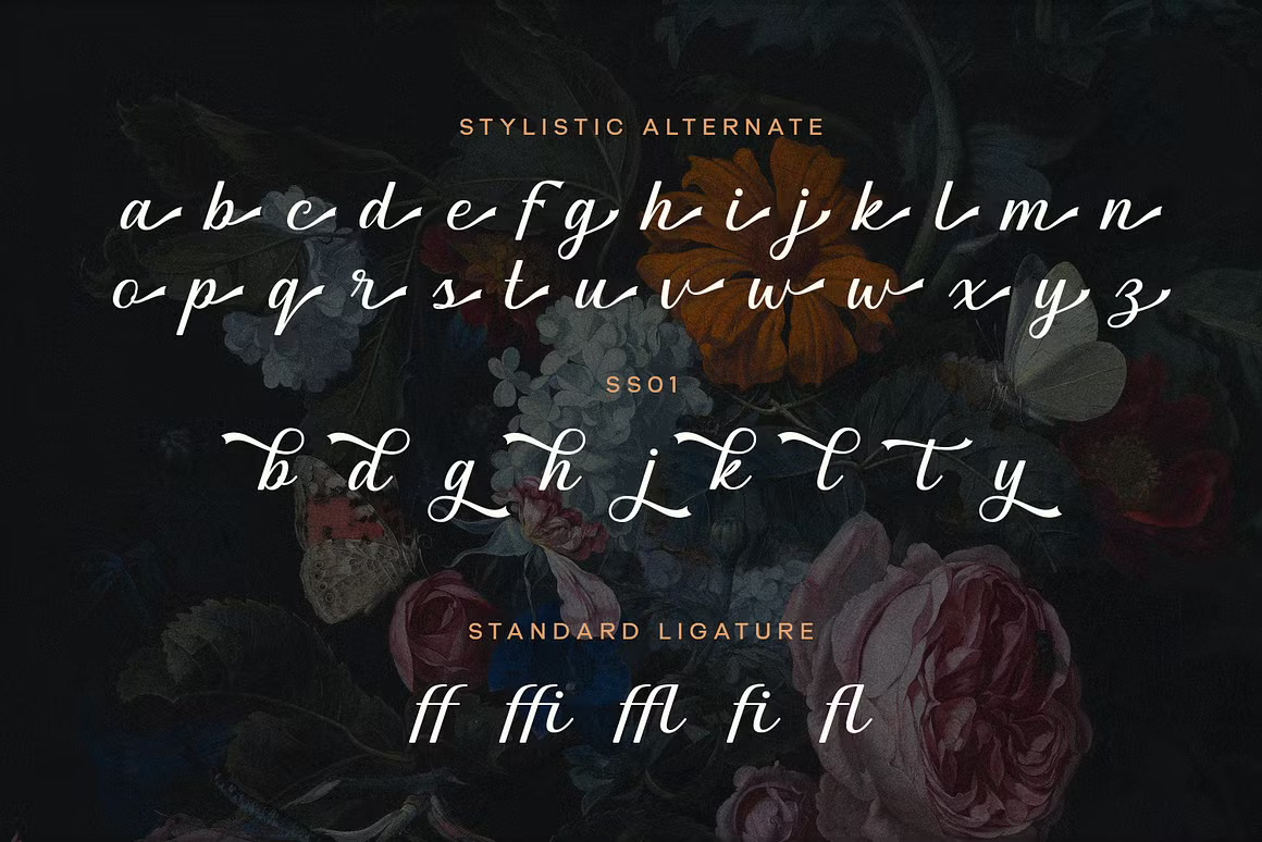 复古时尚杂志邀请函徽标设计手写英文字体安装包 Graceful Nostagia Script Font , 第8张