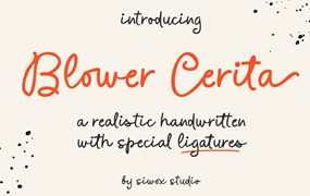 现代优雅邀请函礼品包装徽标设计手写英文字体安装包 Blower Cerita – a handwritten font