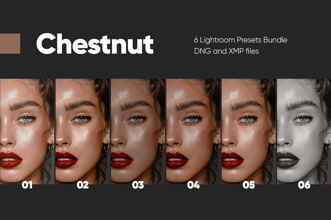 6款现代时尚暖色调人像摄影大片后期LR照片调色luts预设套装6 CHESTNUT LIGHTROOM PRESETS , 第9张