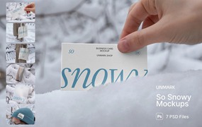 7款雪地雪景场景名片帆布袋毛线帽子包装盒VI展示PS贴图样机模板 So Snowy Collection