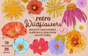 Retro Wildflowers - Bold Flowers 复古INS花卉插图和无缝图案 包装印刷 纺织印刷 海报设计