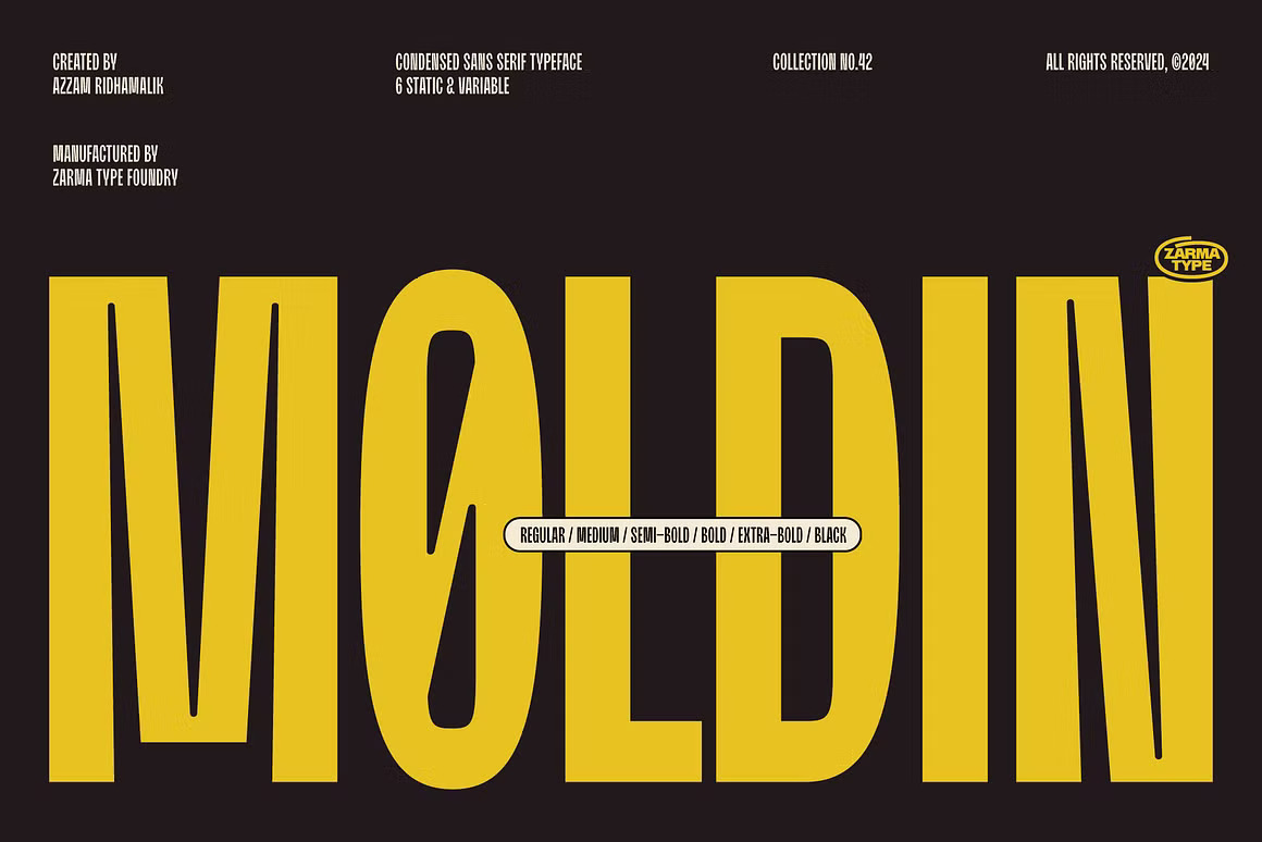 现代美学工业风品牌海报徽标设计PSAI无衬线英文字体安装包 Moldin – Condensed Sans Serif Font , 第1张