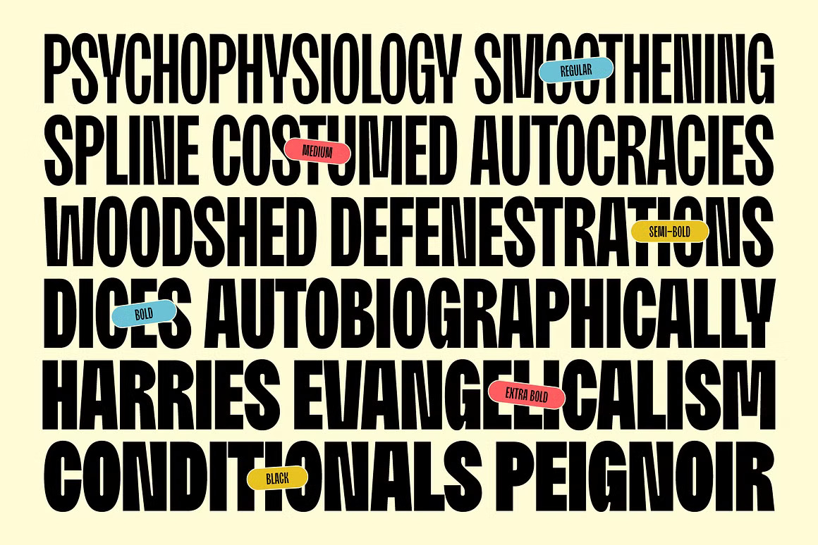 现代美学工业风品牌海报徽标设计PSAI无衬线英文字体安装包 Moldin – Condensed Sans Serif Font , 第10张