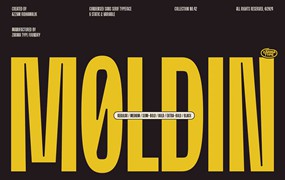 现代美学工业风品牌海报徽标设计PSAI无衬线英文字体安装包 Moldin – Condensed Sans Serif Font