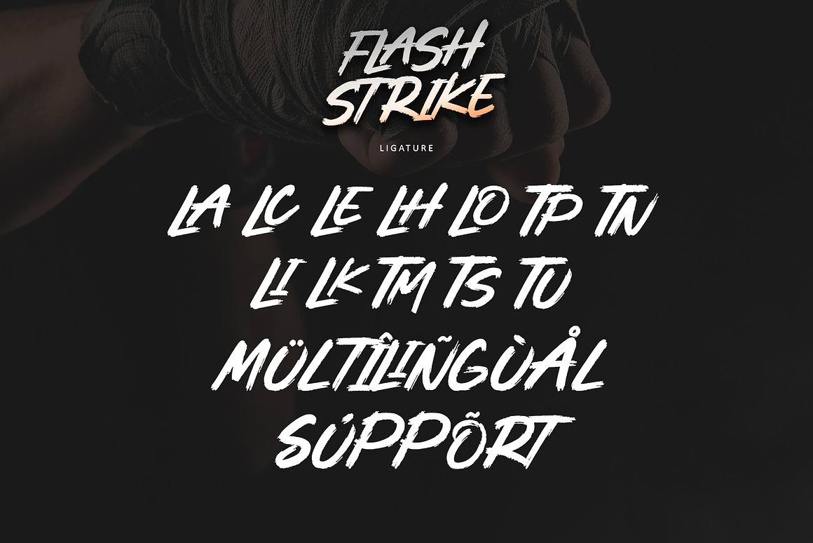 现代时尚品牌海报徽标设计手写英文字体安装包 Flashstrike , 第8张