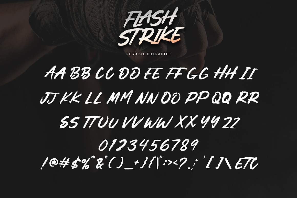 现代时尚品牌海报徽标设计手写英文字体安装包 Flashstrike , 第7张