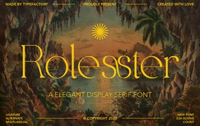 时尚优雅品牌邀请函徽标设计衬线英文字体安装包 Rollester – Elegant Serif Font