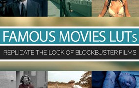 20个LUT20部标志性电影外观 Famous FAMOUS MOVIES LUTS