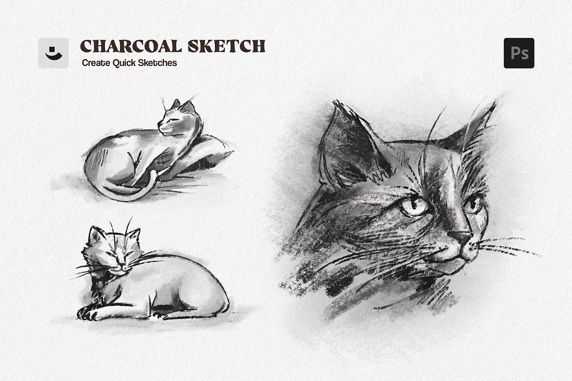 木炭笔粉笔素描纹理效果PS笔刷 Charcoal Sketch Photoshop Brushes , 第4张