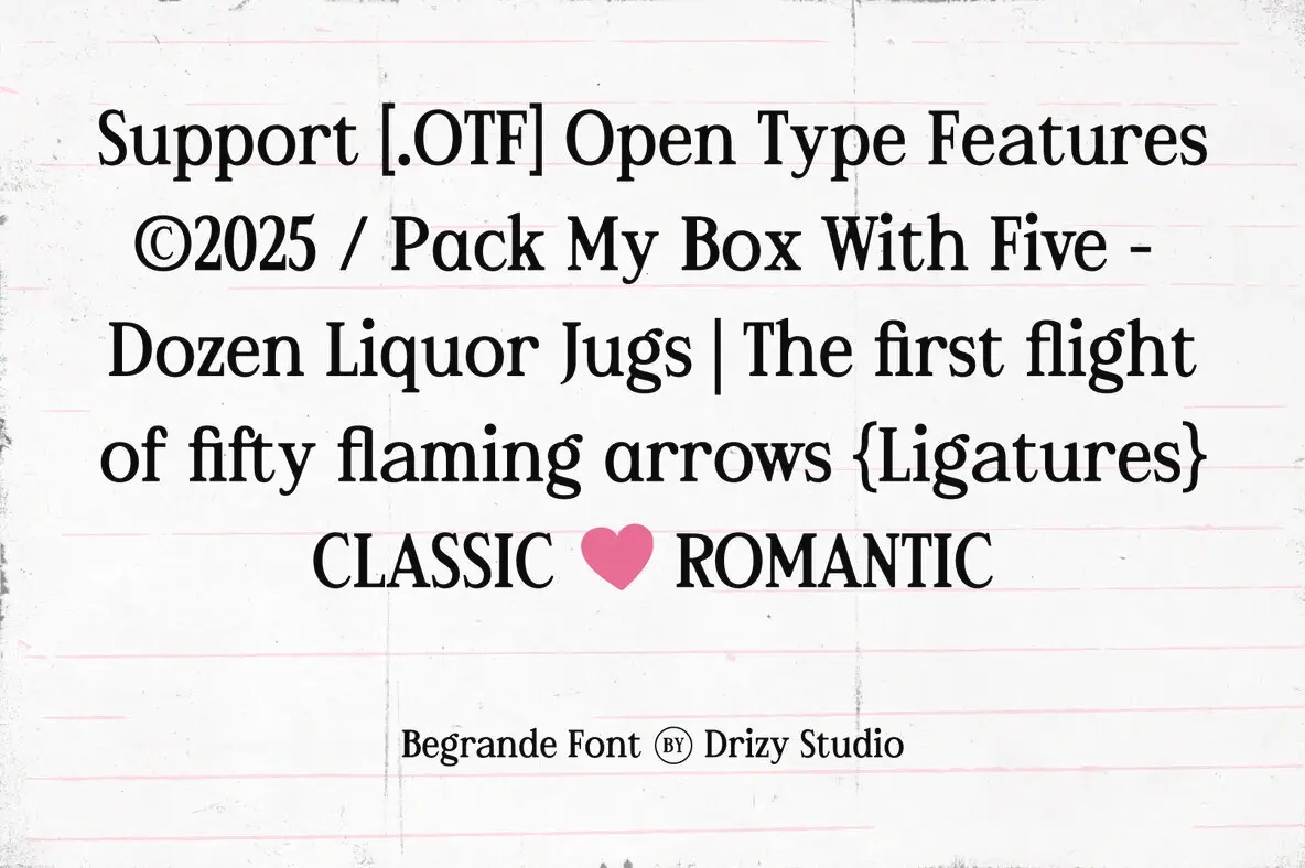 优雅复古杂志婚礼请柬徽标设计衬线英文字体安装包 Begrande – Classic Romantic Serif Font , 第6张