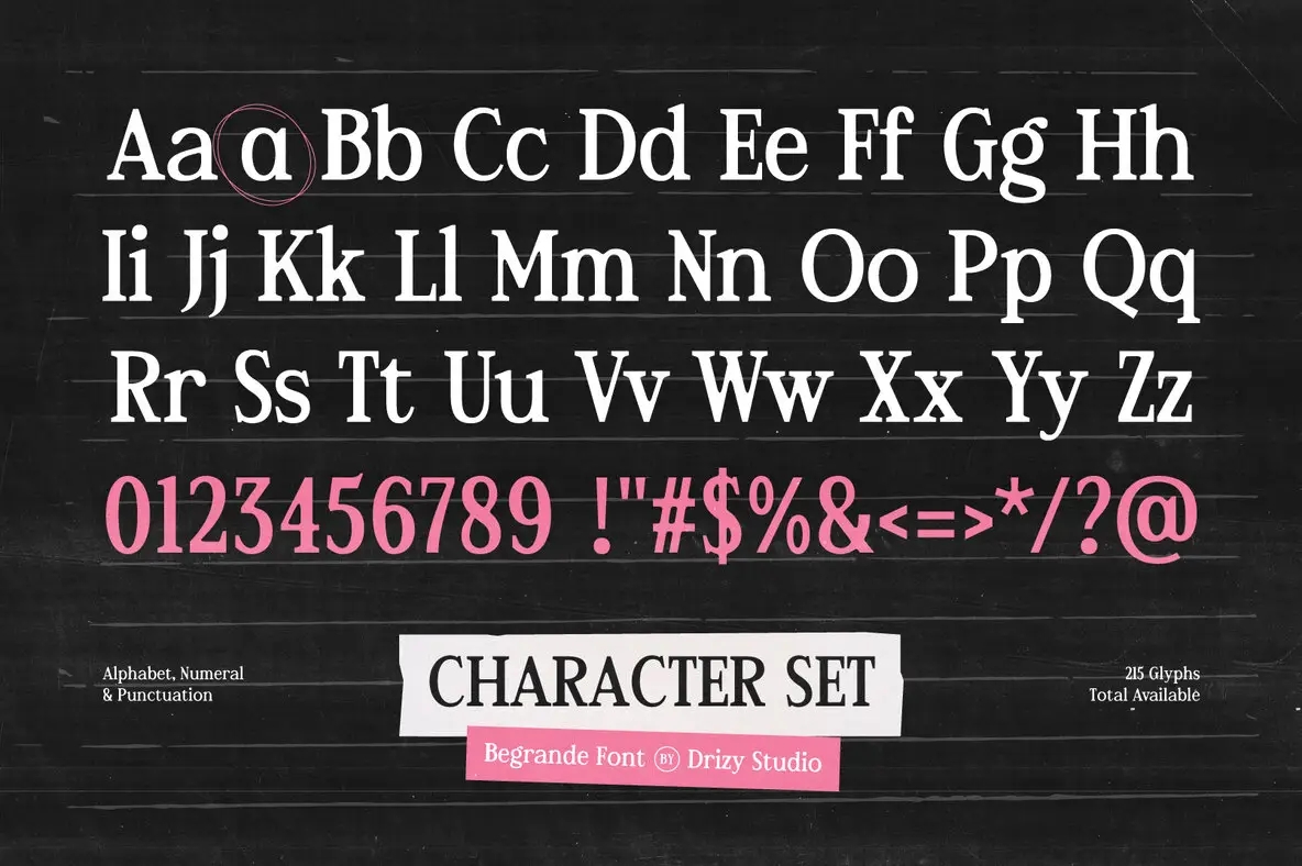 优雅复古杂志婚礼请柬徽标设计衬线英文字体安装包 Begrande – Classic Romantic Serif Font , 第8张