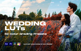 50组电影质感婚礼视频颜色校正色彩分级调色lut预设包Pixflow – Colorify Wedding LUTs