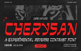 创意美学品牌音乐会海报专辑封面设计装饰英文字体安装包 Cherysan – Experimental Reverse Contrast Font