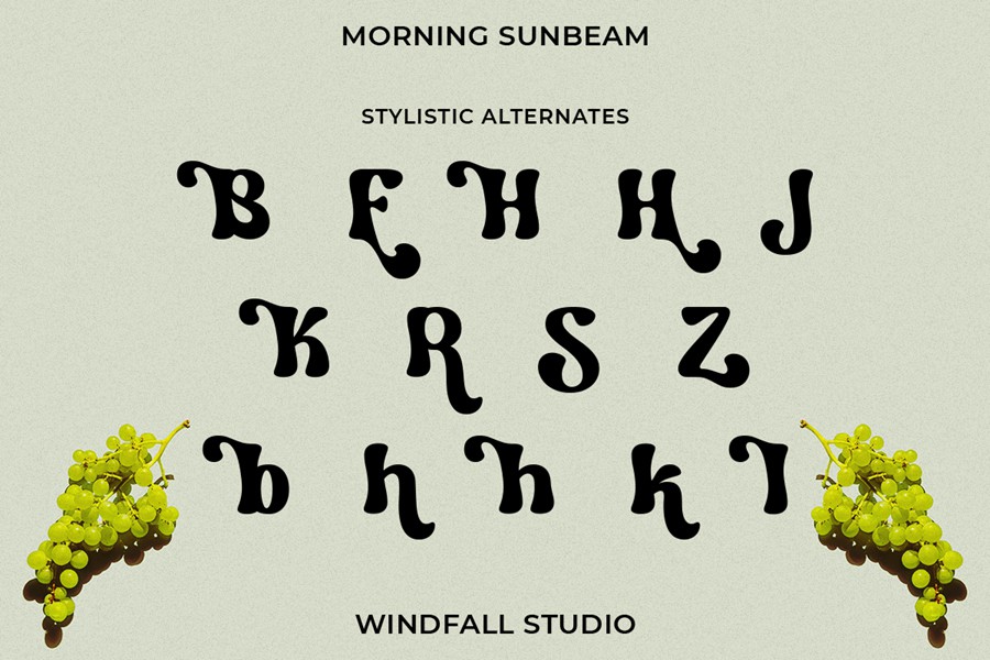 时尚复古杂志海报徽标设计装饰英文字体安装包 Morning Sunbeam – Retro 90s Bold Font , 第9张