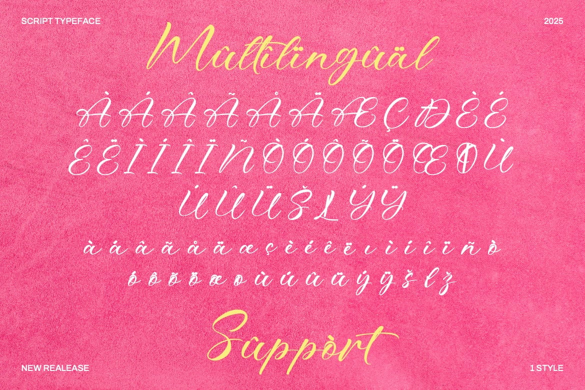 优雅复古杂志海报徽标设计手写英文字体安装包 Bitteva Script – Classy Script Font , 第12张