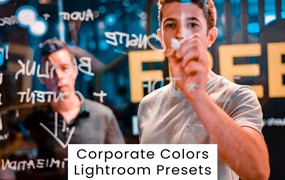 现代复古赛博朋克皮肤润饰婚礼摄影照片调色Lightroom预设 Corporate Colors Lightroom Presets