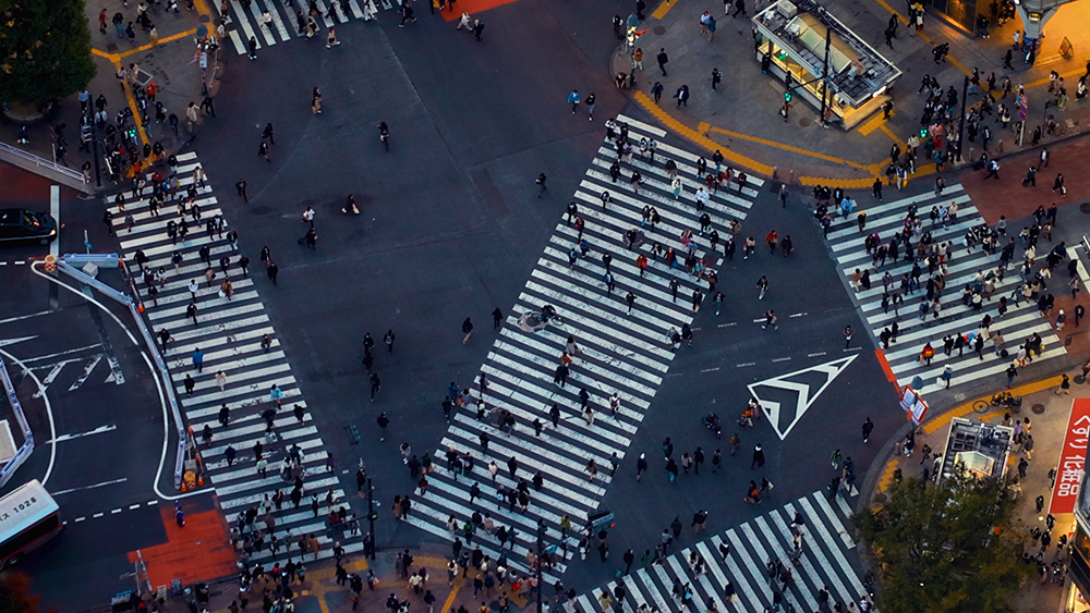 Artlist 4K ProRes超高清東京都涩谷城市交通道路斑马线人行道夜间延时视频素材 Shibuya Tokyo , 第1张