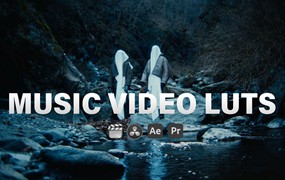 深邃暗调氛围墨绿色调电影色调音乐视频LUT调色预设 MUSIC VIDEO LUTS