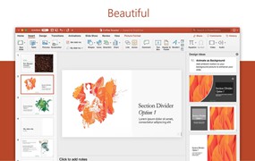 Microsoft Office 2024最强大办公工具软件 Mac版本 Microsoft Office 2024 for Mac LTSC 16.92