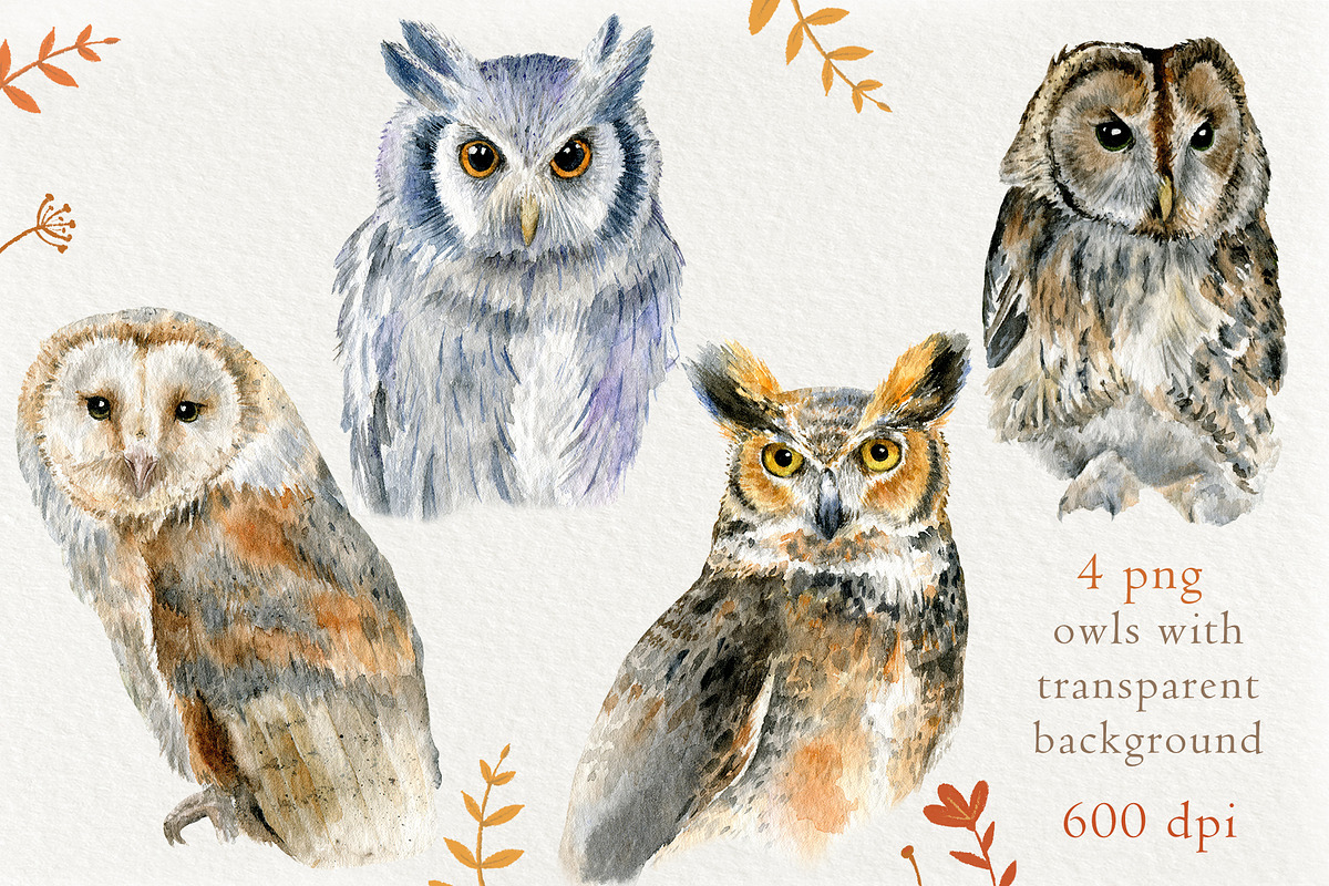 高品质猫头鹰手绘水彩画背景图片PNG/JPG格式设计素材Watercolor Owls set by Nastilustra , 第2张