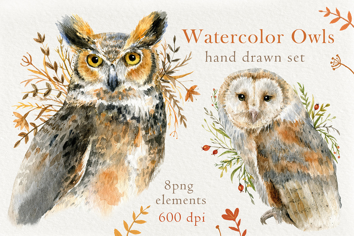 高品质猫头鹰手绘水彩画背景图片PNG/JPG格式设计素材Watercolor Owls set by Nastilustra , 第1张