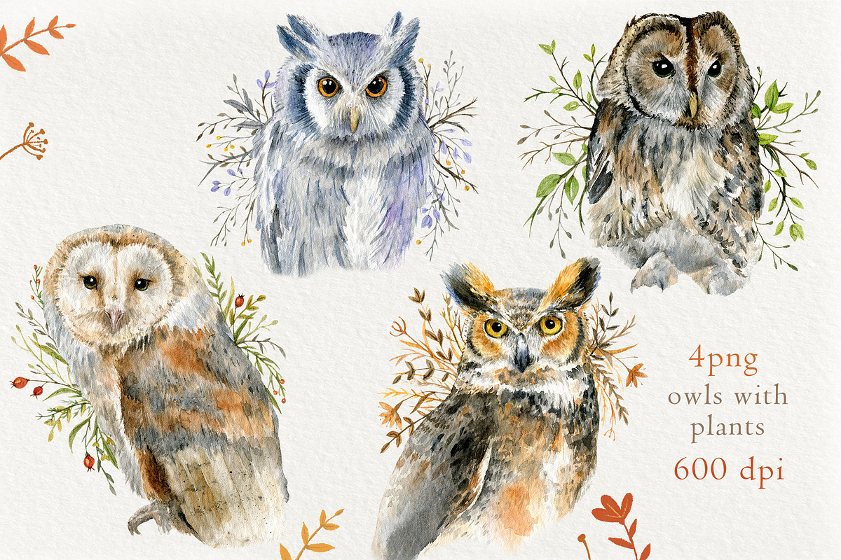 高品质猫头鹰手绘水彩画背景图片PNG/JPG格式设计素材Watercolor Owls set by Nastilustra , 第3张