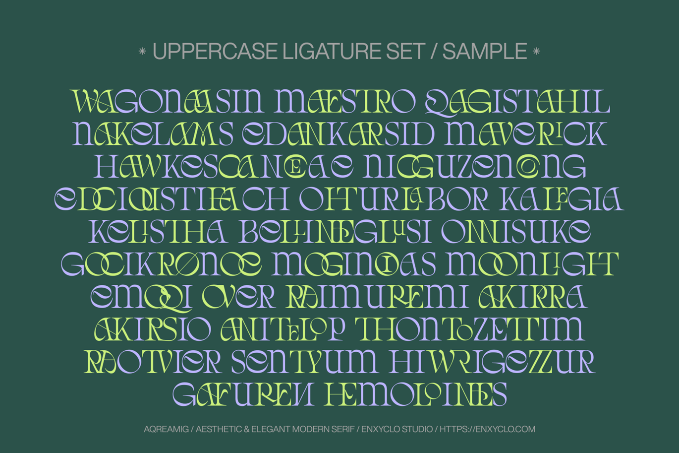 现代复古杂志海报网站徽标设计衬线英文字体安装包 Aqreamig – Modern Elegant Luxury Ligature Serif , 第6张