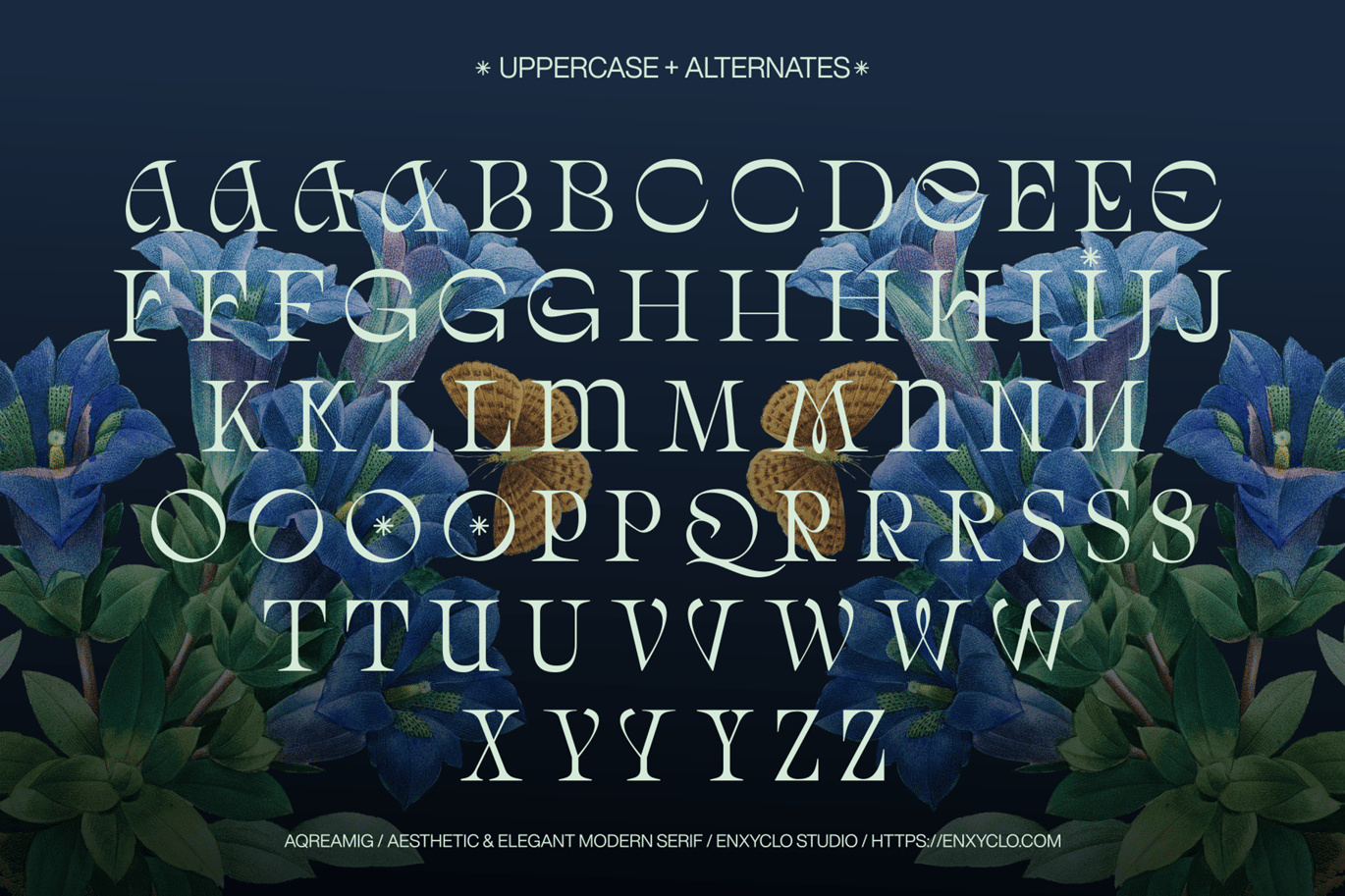 现代复古杂志海报网站徽标设计衬线英文字体安装包 Aqreamig – Modern Elegant Luxury Ligature Serif , 第13张