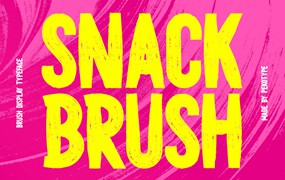 时尚品牌海报包装徽标设计无衬线英文字体安装包 Snack Brush – Bold Display Typeface