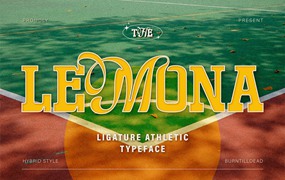 现代时尚品牌海报服装设计衬线英文字体安装包 Lemona