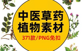 手绘中医草药草本植物插图背景PNG免抠图片 养生材图案PS素材